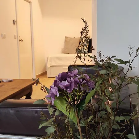 Cinco Botelho شقة *